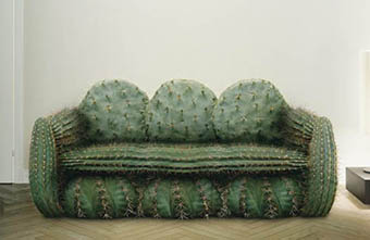 cactus-couch